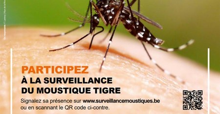 Illustration de l'actualité - cliquer pour agrandir