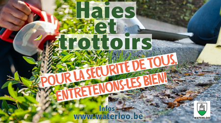 Illustration de l'actualité - cliquer pour agrandir